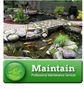 Pond cleaning in Hamden/New Haven County Connecticut
